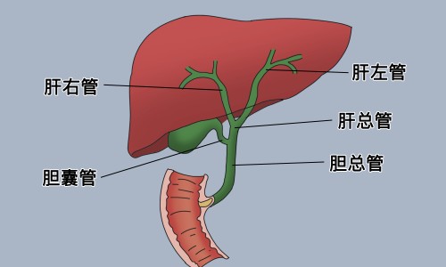 建水共享电单车-宋子文的简介专区_建水共享电单车专区_办理签证 大城市 农村 区别网